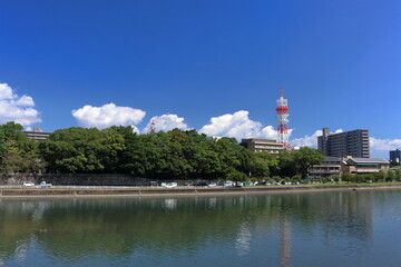鏡川河畔の風景　夏　（高知県　高知市）