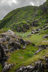 Fototapeta na wymiar Killarney Ireland Ring of Kerry. Rocks