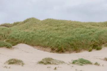 Papier Peint photo autocollant Mer du Nord, Pays-Bas Vue sur la plage depuis les dunes ou la digue sur la côte néerlandaise de la mer du Nord avec de l& 39 herbe marram européenne (herbe de plage) le long de la digue sous un ciel nuageux gris blanc et en été, Noord Holland, Pays-Bas.