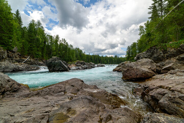 View of the turbulent water flow of the mountain river among the green forest, wildlife