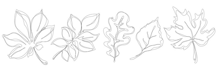 Continuous line drawing leaf, modern single line art, smooth lines in minimalism. Botanical arts, solid line set of tree leaves 
