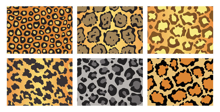 Collection of leopard textures. Seamless prints with wild animal skin. Leopard or cheetah nature design pattern. Wild animal skins print. illustration background