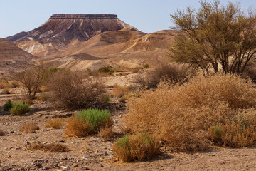 Geological formations in Ramon Crater. The Negev Desert.