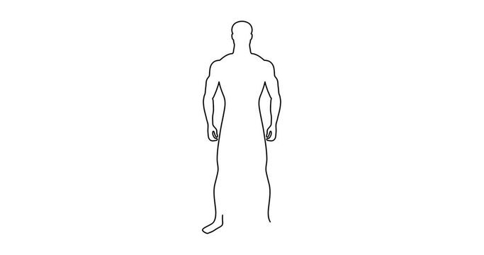 Black outline human silhouette. Standard male figure. Slender man. Correct physique and body proportions. Impersonal character. Continuous single line drawing. Graphic video. Drawing motion animation