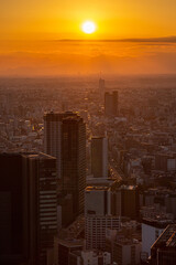 sunset over the city