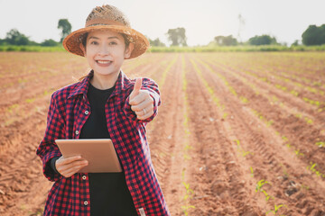 Smart farming, using modern technologies in agriculture. Agronomist Using tablet and Technology in...