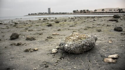 Scattered rocks of variable sizes on sand and sea water. View from Khobar new public corniche
in Saudi Arabia