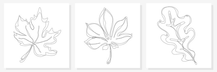 Set of leaves, continuous line drawing leaf, modern single line art, smooth lines in minimalism. Botanical arts, solid line set of tree leaves