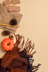 Fall Season Flatlay Lifestyle Bloggers Announcements Ads Warm Wool Scarf Pumpkin Pencils Vertical