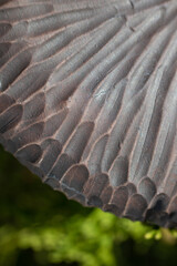 handmade ceramics. macro texture