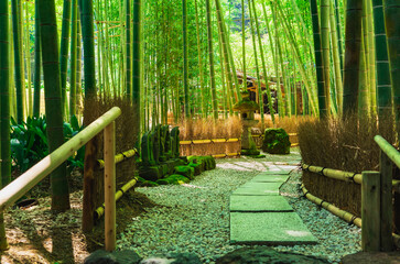 鎌倉　報国寺　竹の庭