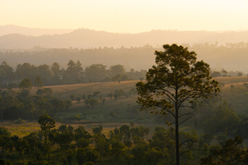 A beautiful countryside at sunrise in morning light. wonderful landscape in mountains. grassy field and rolling hills. rural scenery.