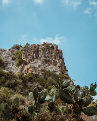 Sharp rock side of the mountain with cactuses, Tuf Kerem Maharal, Israel