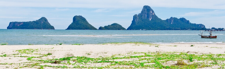 Goat's Foot Creeper or Beach Morning Glory, (Ipomoea pes-caprae) thrives on the beach