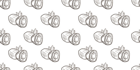 Vector seamless pattern with coconuts, hand drawn coconut, background template, black and white outline coconuts with leaves.