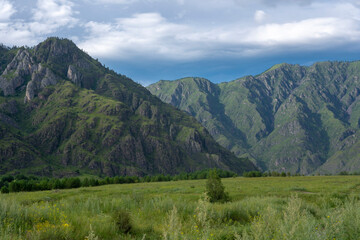 Naklejka premium Mountain Altai, Peaks of green mountains and wide meadows