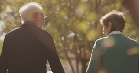 4k Back view of elderly couple holding hands while walking together in park . Rear view of romantic senior couple resting , relaxing in nature . Happiness people lifestyle . Slow motion footage . - Powered by Adobe