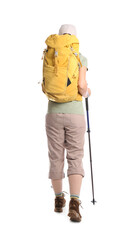 Female hiker with backpack and trekking poles on white background, back view