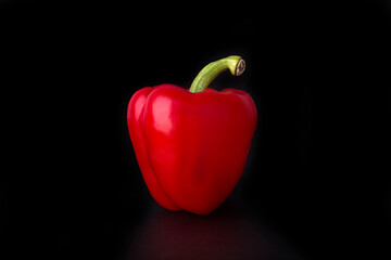 Sweet bell pepper on black background with reflection