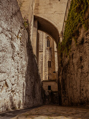 Side view of Avignon Cathedral. Avignon, Provence, France