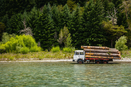Cami&oacute;n maderero cruzando un r&iacute;o troncos de &aacute;rboles cortados.