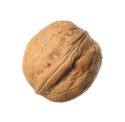 Whole walnut in shell isolated on white