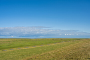 Fototapeta na wymiar Blick von der Deichkrone über die Nordsee, Schafe weiden auf den Salzwiesen