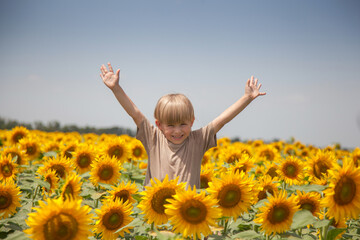 a happy boy with blond hair stands with his hands raised to the sides in a field with sunflowers.