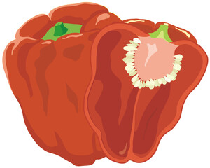 赤色パプリカ・断面