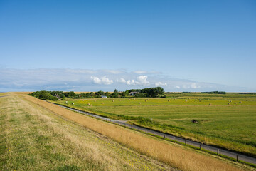 Nordseeküste ein Bauernhof hinter dem Deich und grüne Grasweiden