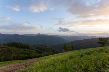 agricultural landscape of hill tribes green grass evening sky On top of a hill in Chiang Mai, Thailand. Background image. There is space for the text above.