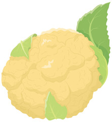 オレンジカリフラワー