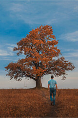 walking in the autumn