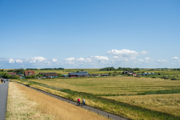 Fototapeta na wymiar Landschaft Bauernhof hinter dem Deich mit Radwanderern