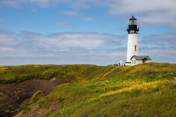 Beautiful landscape of Yaquina Head Outstanding Natural Area with its lighthouse, Oregon, USA