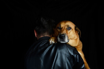 Portrait of man owner hugging his lovely golden red sad dog pup, love friendship concept, dark...