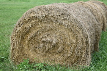 Hay Bales