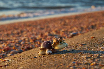 Image of a turtle made from shells. Handmade.