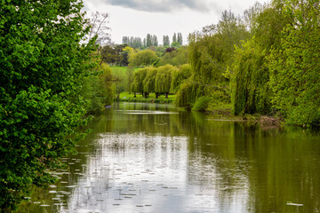 River Medway between Maidstone and Teston in Kent, England