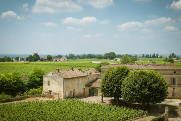 The region of Saint-Emilion in the south of France