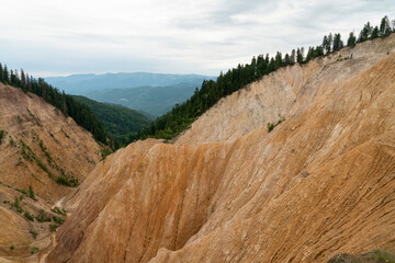 Ruginoasa ravine nature reserve in Apuseni mountains from  Romania with yellow-colored steep ravine surrounded by coniferous forests