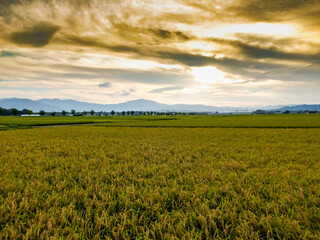 初秋の田園　日暮れの風景