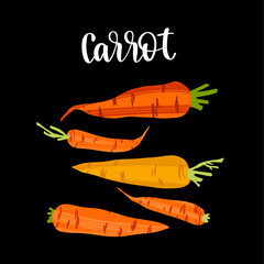 Delicious fresh young carrot. Healthy nutrition product.