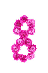 Number eight made of flowers, figures from pink Chrysanthemum, isolated on white background.