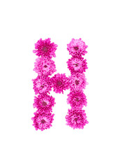 Letter H made of flowers, figures from pink Chrysanthemum, isolated on white background.