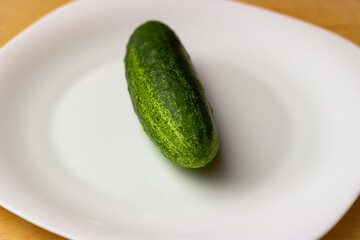 Ripe green cucumber on a white glossy plate. Photo taken from a high angle