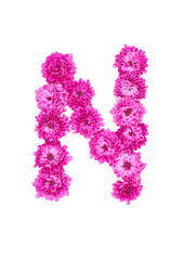 Letter N made of flowers, figures from pink Chrysanthemum, isolated on white background.