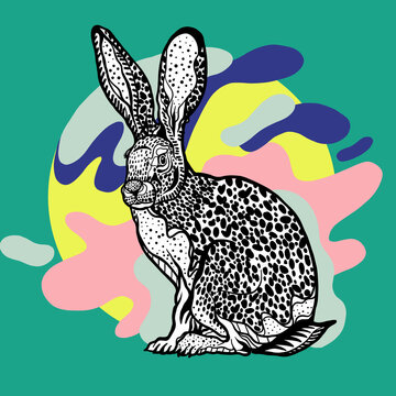 Rabbit with bold shapes and colors