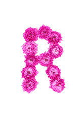 Letter R made of flowers, figures from pink Chrysanthemum, isolated on white background.