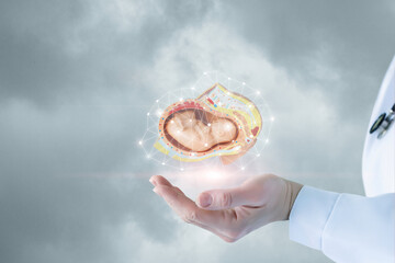 Concept of diagnosis and prevention of human embryo.